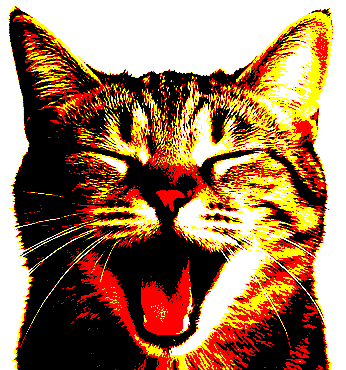 cat clicked